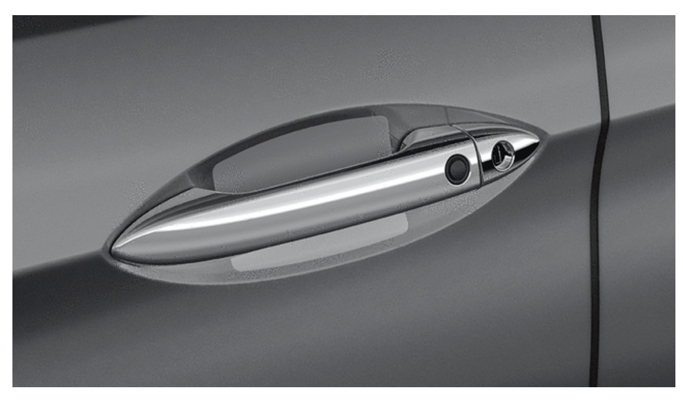 HONDA OEM RIDGELINE PASSPORT PILOT DOOR HANDLE FILM